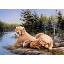 Animal 5D DIY Full Round Drill Diamond Painting Cross Stitch Mosaic (C1417)