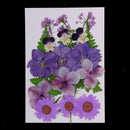 8Pack Mixed Pressed Dried Flowers Leaves for Scrapbooking Wedding Decoration