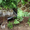 500pcs Plant Fiber Nursery Pots Seedling Raising Bag Plants Holder Garde HNA