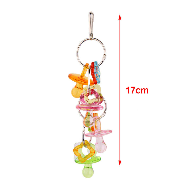 Acrylic Colorful Pet Parrots Chinchilla Parakeet