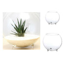 Ball Glass Flower Vases Micro Landscape DIY Terrarium Bottle Candle Holder S