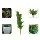 10X Artificial Leaves Garden Room Decor Pine Cypress Office Home K6H8