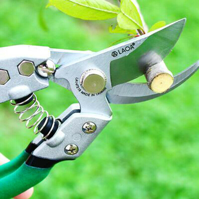 Gardening Scissor Branch Hands Pruner Trimmer Tool for Tree/Flowers TrimmingBX