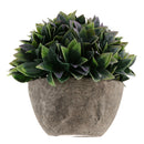 Plastic Artificial Potted Plants Green Grass -13cm / 5.12''(Height)-Purple