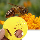 12pcs New Yellow Beekeepers Bee Hive Nuc box Entrance Gates Beekeeping Equi Y2Z8
