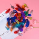 50 Dyed Guinea Fowl Feather Natural Fishing Millinery Craft DecorationOZ