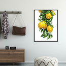 5D DIY Full Drill Diamond Painting Fruit Embroidery Mosaic Craft Kit (w372)