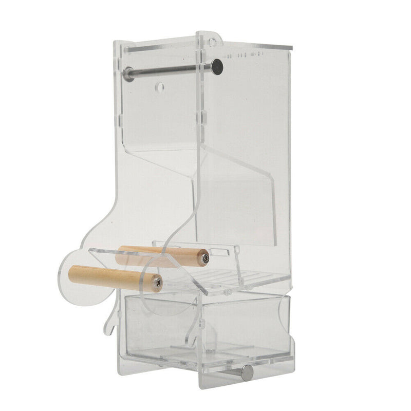 Pet Parrot Automatic Transparent Feeder Birds Splash-proof Food Dispenser