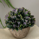 Plastic Artificial Potted Plants Green Grass -13cm / 5.12''(Height)-Purple