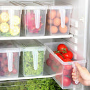 Plastic Refrigerator Fridge Organizer Bin Sugar Flour Snacks Space Savor