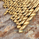 99PCS HSS Twist Drill Bit Set Titanium Coated Home Metal Drilling Tool 1.5-10mm