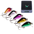 5 Pcs Topwater Wobbler Mini Fly Fishing Cranks Crankbait Lures Hard Baits Tackle