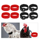 8pcs/pack No Crow Collar for Roosters No Crowing Noise Free Neckband Collars