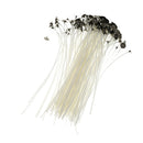 50 Pieces 7.87 Inch Natural Candle Wick, Low Smoke Pre-Waxed, Pre-Tabbed, 100%