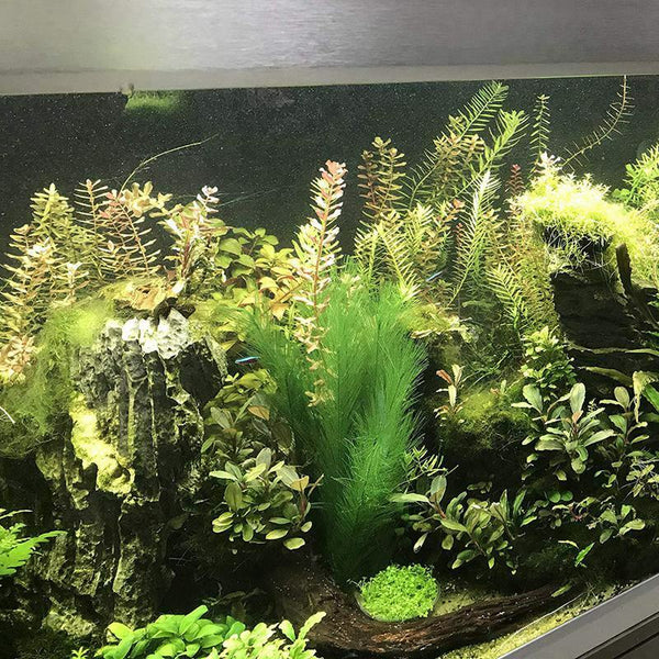 Aquarium Decorations Fish Tank Artificial Green Water Plants Made Of Silk F G4B8