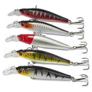 5Pcs Large Minnow Saltwater Fishing Lure Crankbait Hooks Bass Soft Bait Kit