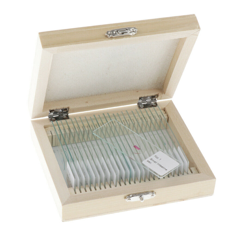 25PCS Children Glass Prepared Slides for Microscope of Insects Sample Specimens,