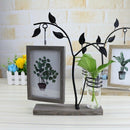 Features With Hydroponic 6 Inch Hanging Double-Sided Photo Frame Creative P