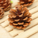 4Pcs Natural pine cones 2-3cm size quality pinecone florists crafts decorativ LJ