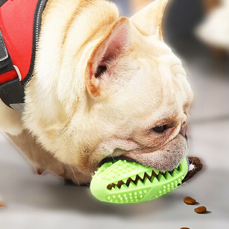 Interactive Dog Toys Toothbrush IQ Treat Dispensing Ball Rope Safe Teeth Cl