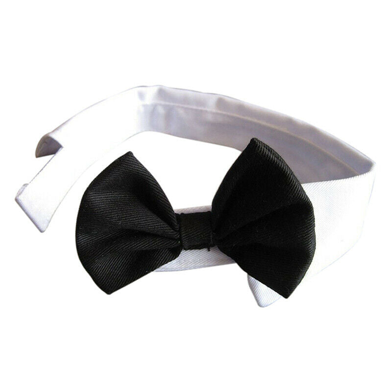 Dog cat neck loop necktie bowknot black and white