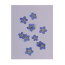 10x Pressed Natural Dried Flowers Forget Me Not for DIY Craft Scrapbooking