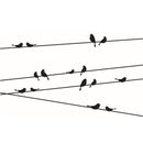 Removable Tree Branch Bird Wall Stickers Vinyl Mural Room Decoration-Decals
