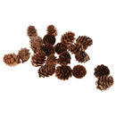 20pcs Pine Cones Party Decor Living Room Ornament Festival Favors
