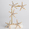Fashion Lady Girl Beach Wedding Natural Starfish Sea Star Hair Clip Hairpin FT