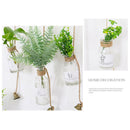 1X(Creative Hanging Glass Vase Hanging Bottle Hydroponic Green Plant Transp