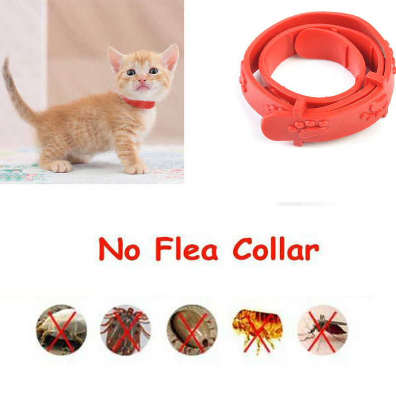 Protection Cat Neck Strap Anti Flea Mite Acari Tick Remedy Pet Collar