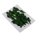 Natural Dried Flowers Bouquet Dry Flowers Decorative Leaf Bouquet ,Real Pressed