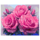 Paint By Number Kit DIY Oil Painting Cloth Digital Home Decor, 3 pink roses K9T9