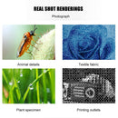 1000X USB LED Microscope Handheld Portable Digital Magnifier Camera w/Stand A