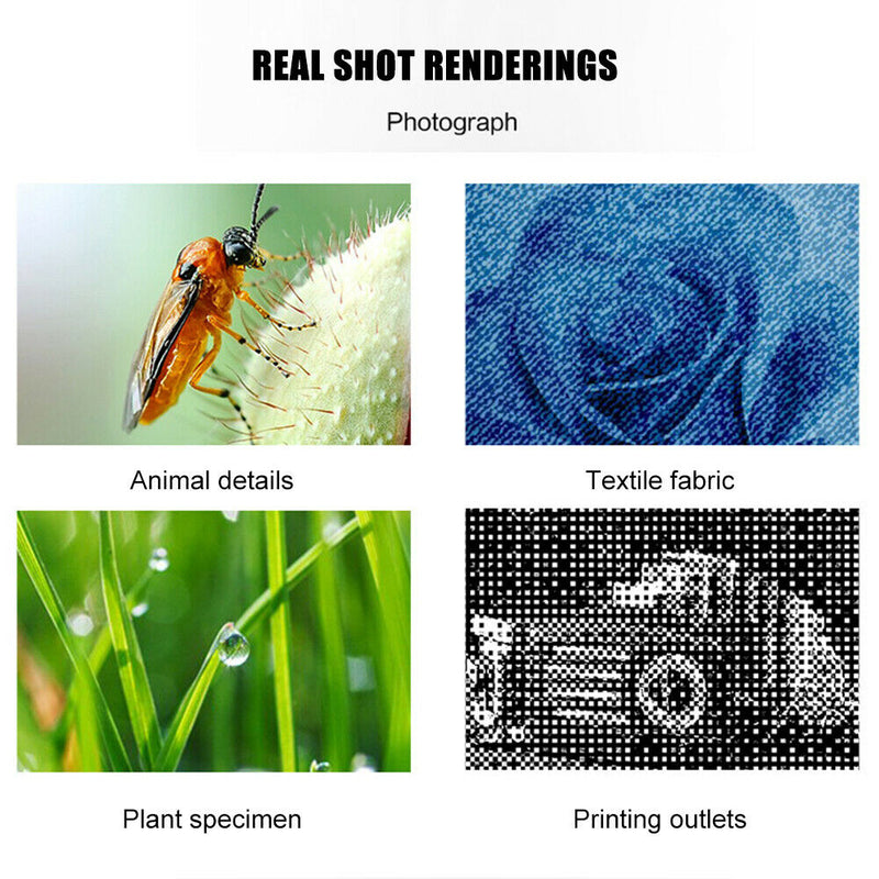 1000X USB LED Microscope Handheld Portable Digital Magnifier Camera w/Stand A