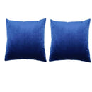 2X Cozy Velvet Square Decorative Throw Pillow Covers for Couch 18x18 Inches