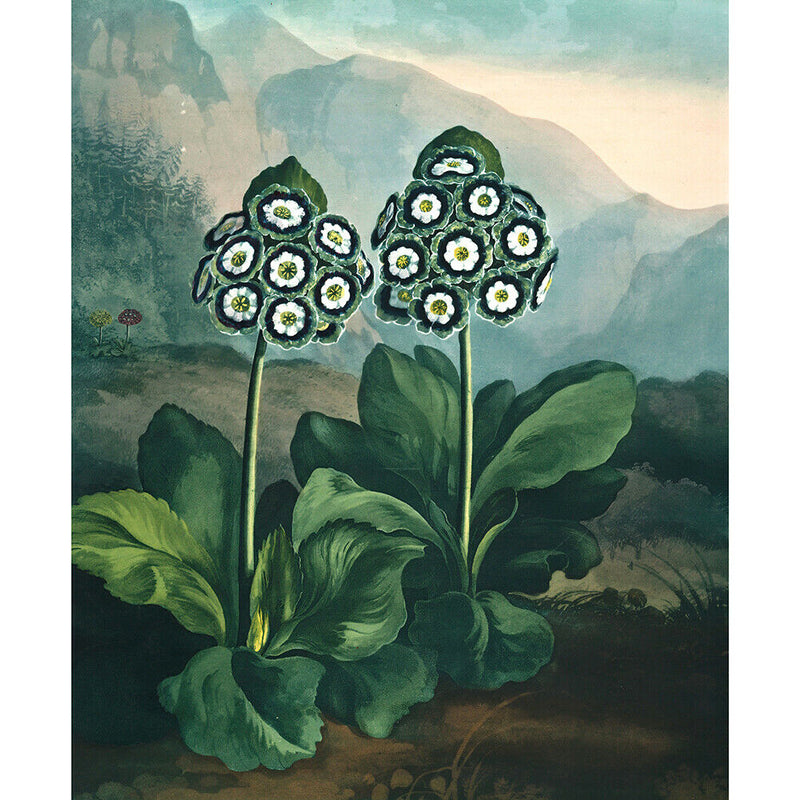 1000pcs Fresh Plant Jigsaw Kids DIY Picture Puzzle for Adults Children Toys