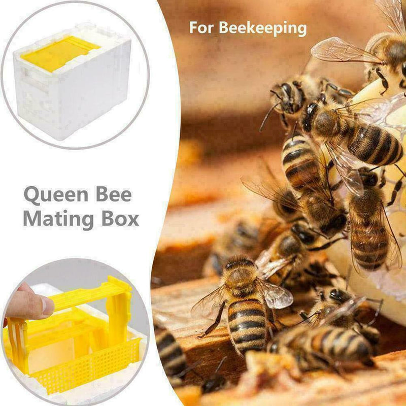 Hive Beekeeping King Box Pollination Box Beekeeping Tool Harvest Solid HOT T1V4