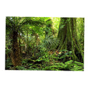 Aquarium   Tank Background Poster Rainforest Landscape Decor 60x100cm