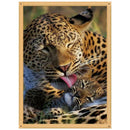 5D DIY Full Drill Diamond Painting Animal Tiger Cross Stitch Kits (K514)