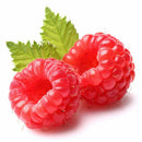 200Pcs Red Raspberry Plant Seeds Rubus Idaeus Bush Fruit Seeds Garden Supplie LJ
