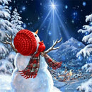 Full Round Drill Diamond Painting DIY Christmas Embroidery Craft (JH081)