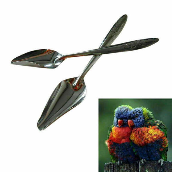 Stainless Steel Metal Feeding Tool Water Milk Spoon For Pet Bird Parrot Dog Y2S8