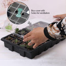 24 Cells Seedling Starter Tray Seed Germination Plant Pots Nursery Seeding Box