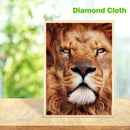 5D DIY Full Drill Diamond Painting Lion Embroidery Mosaic Craft Kit (hg406)