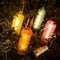 Cork Lights for Wine Bottle, Wine Bottle Lights 12 Pack 6.5ft 20 LED Wine C D5F2