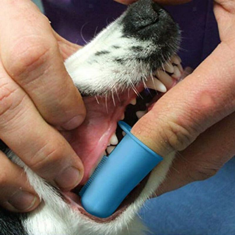 10 Pcs Dog Finger Toothbrush Dental Hygiene Finger Brushes for Dog Cat Pink