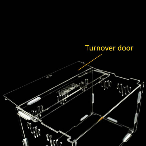 Acrylic-Reptile-Terrarium-Habitat-Ideal-Case-for-Larvae-spiders-ants-scorpi S8O4