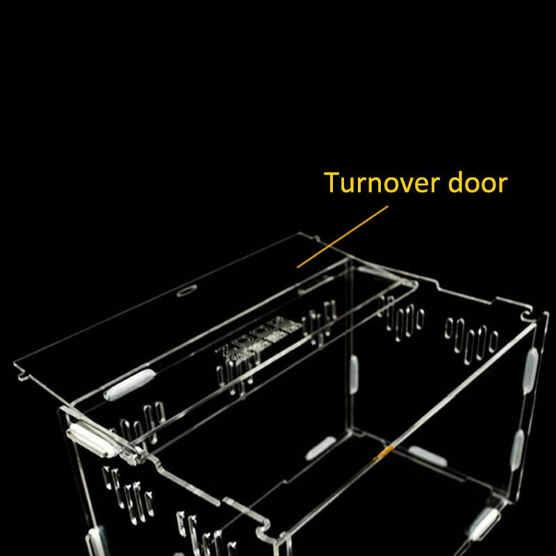 Acrylic-Reptile-Terrarium-Habitat-Ideal-Case-for-Larvae-spiders-ants-scorpi S8O4