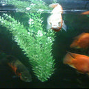 3PCS Artificial Plastic Underwater Grass Green Plant for Fish Tank Aquarium